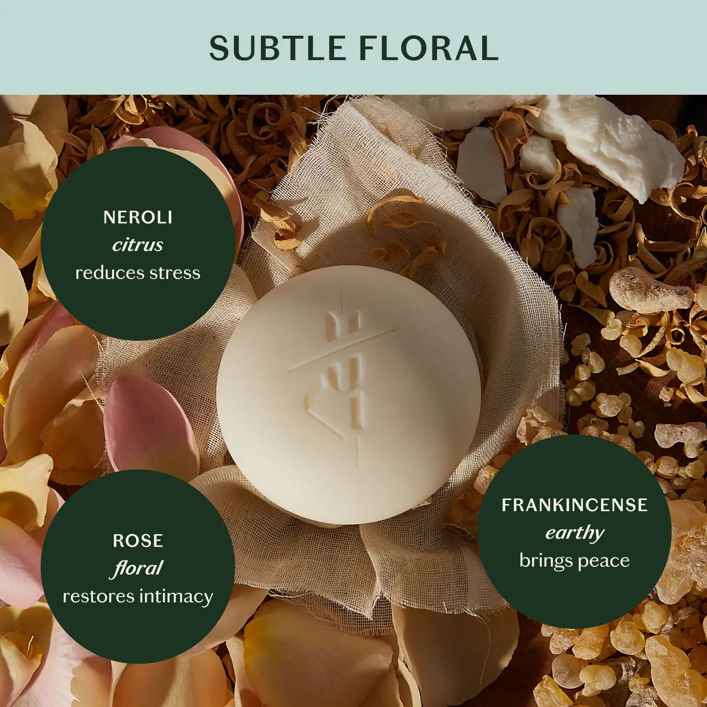 Daily Stone | Deep Moisturizing Lotion Bar Starter Kit